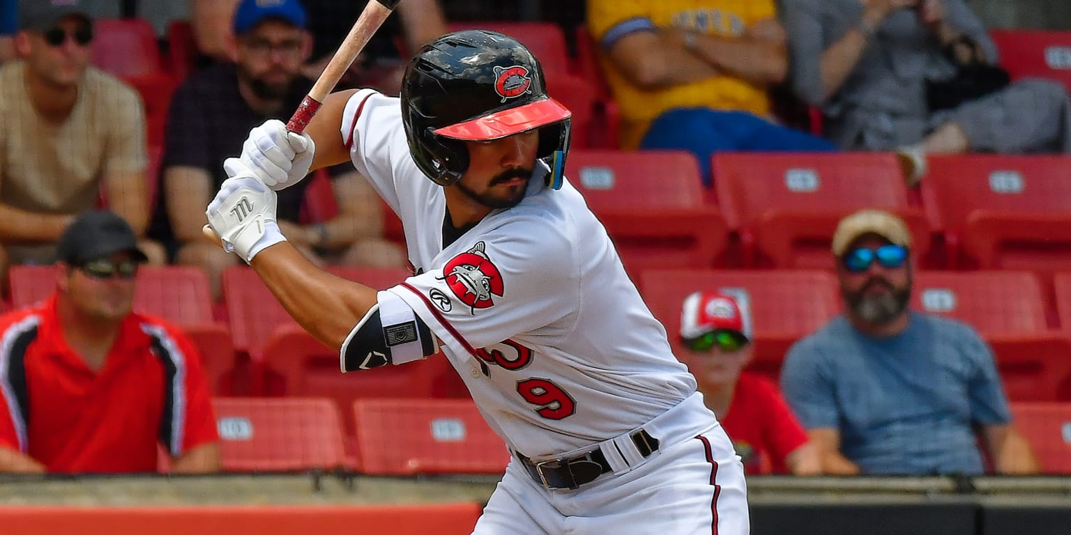 Brewers Minors: Low-A Carolina Mudcats Punch Their Ticket to the Playoffs