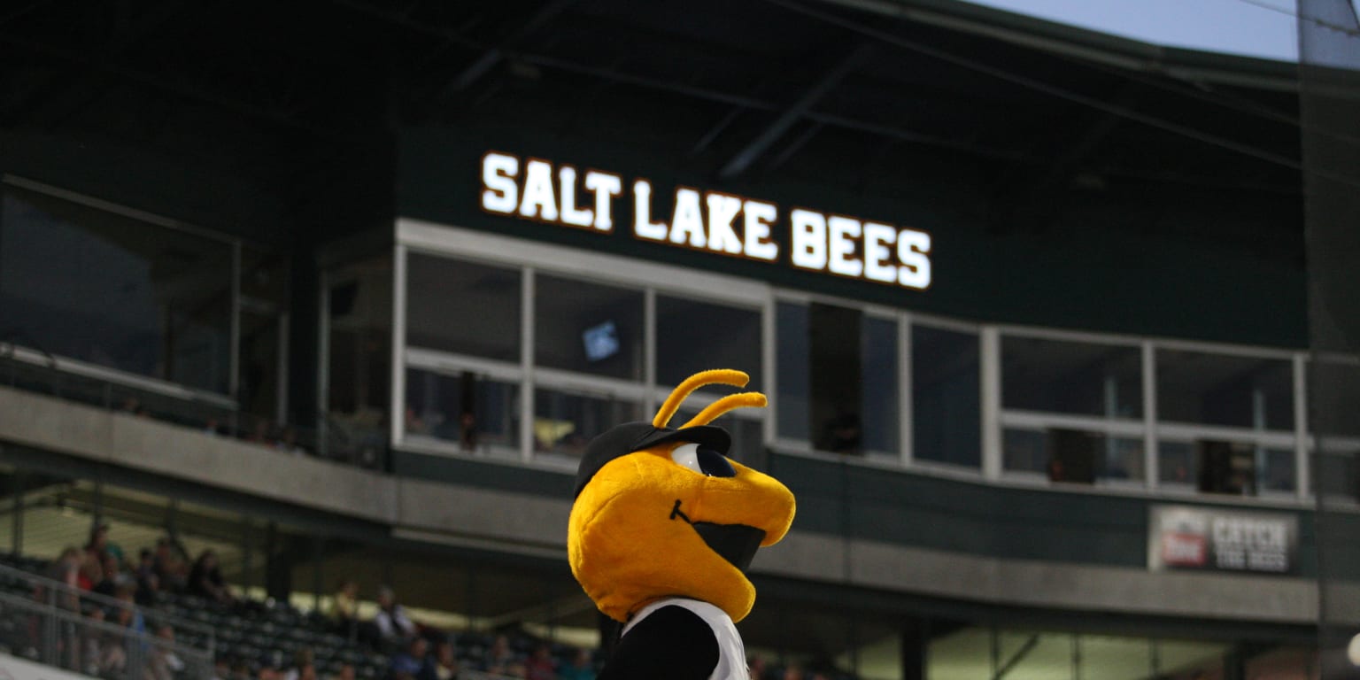 Get Stung: 2019 Salt Lake Bees (AAA) Preview - Halos Heaven