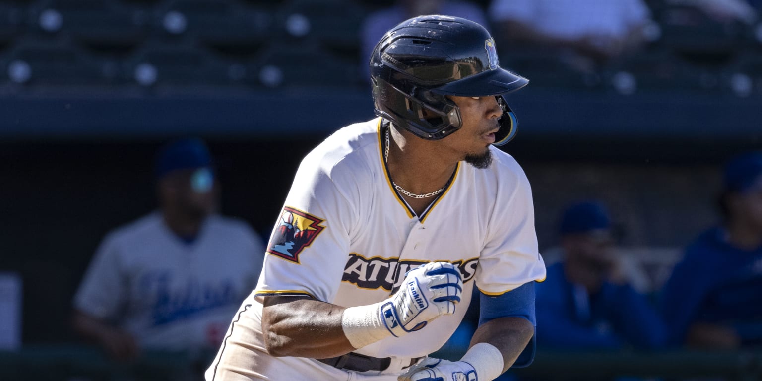 Late Rally Falls Short in 8-7 Loss Saturday | MiLB.com