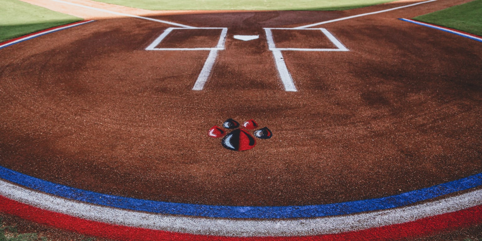 RockHounds Host the Corpus Christi Hooks June 28July 3