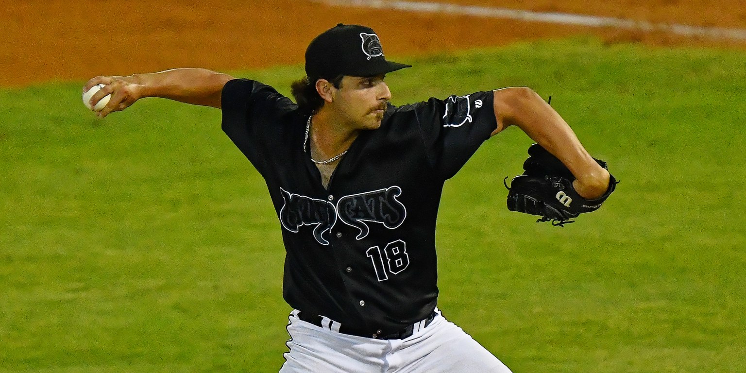 Carolina Mudcats on X: The Brewers Weekend jersey will also