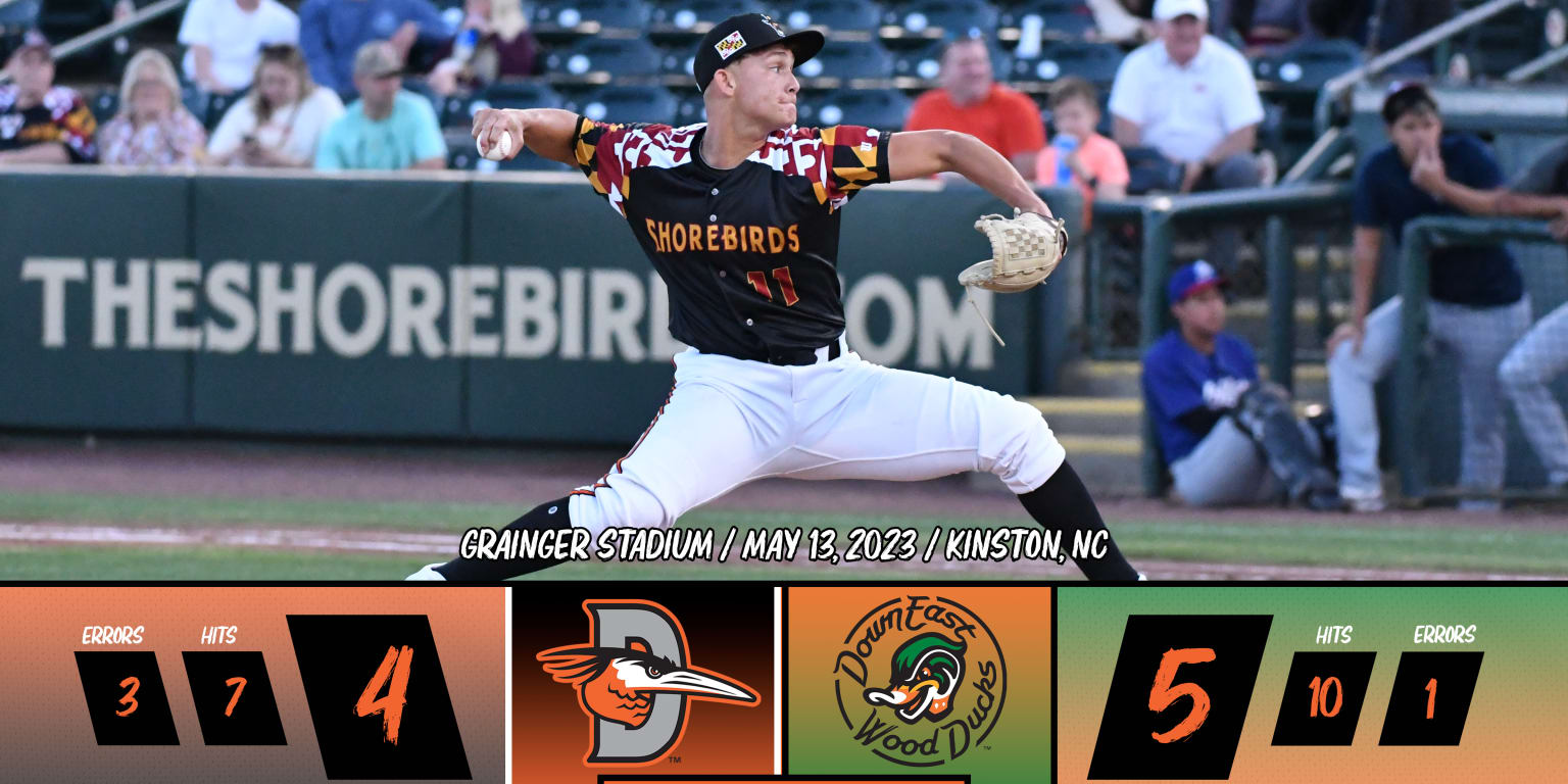 Shorebirds Walked Off by Wood Ducks in Game 5 Shorebirds