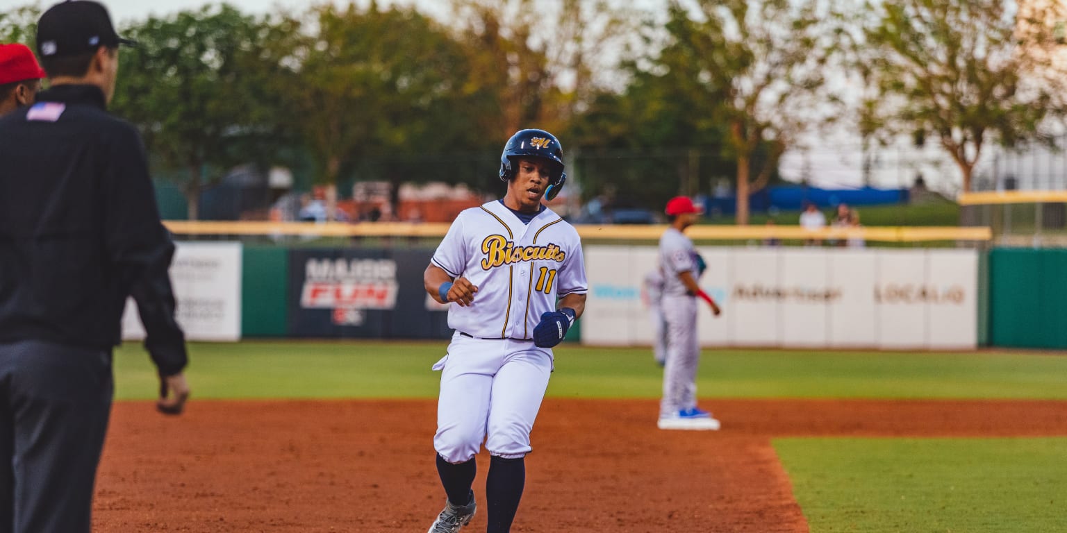 Montgomery Biscuits pitcher Logan Workman