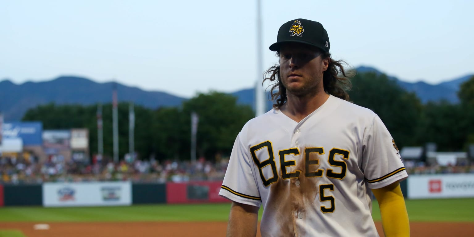 Bees Opening Day Postponed, Play Doubleheader Saturday