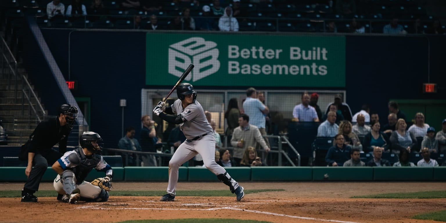 Hartford Somerset MiLB Baseball