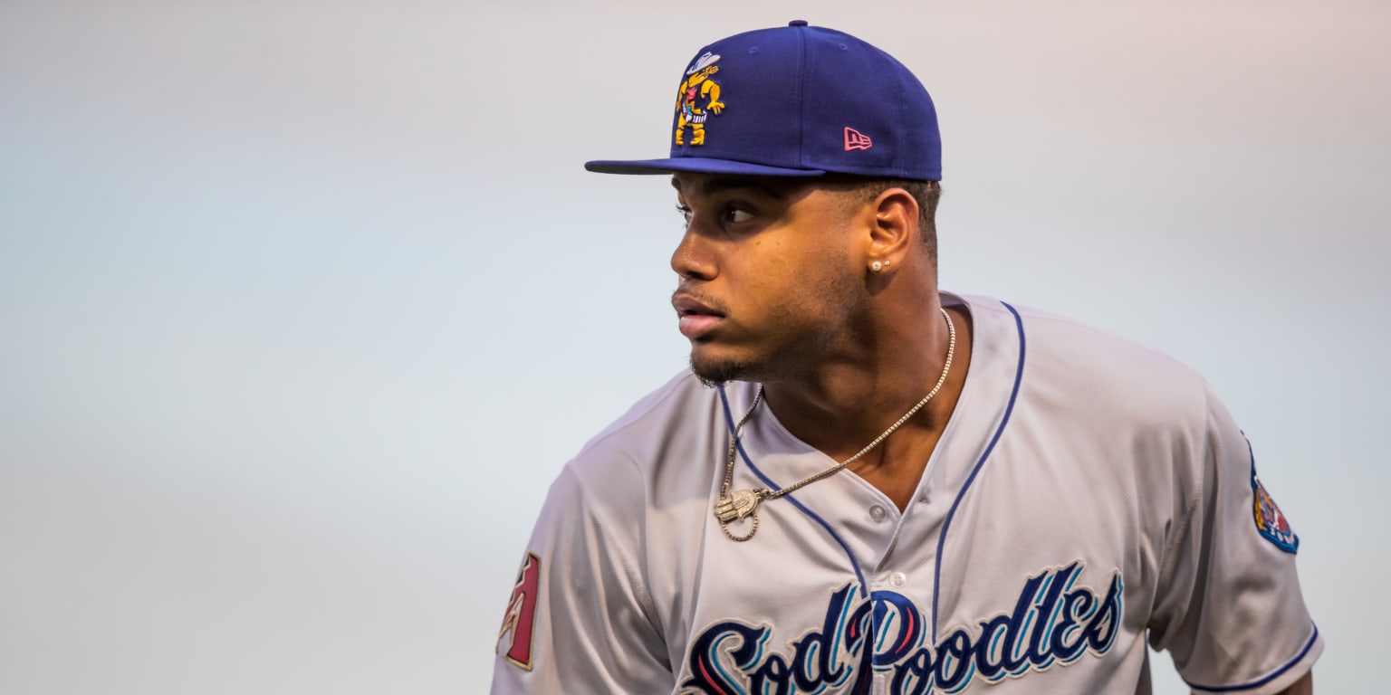 Amarillo Sod Poodles travel to Frisco following split series against Corpus  Christi Hooks