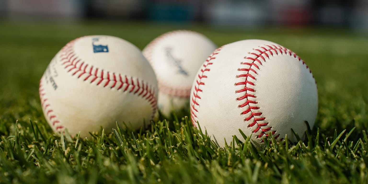 Iowa Cubs Announce 2024 Opening Day Roster Cubs