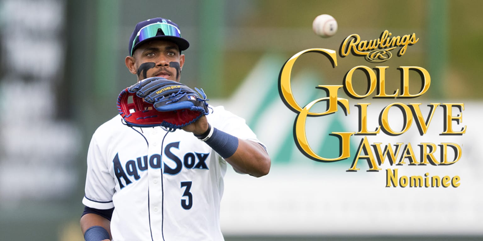 Everett AquaSox on X: Time is almost up! Pre-order your Julio