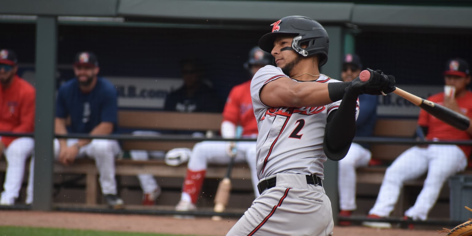 Squirrels fall, 2-1, in extra-innings thriller against 'Ducks | MiLB.com