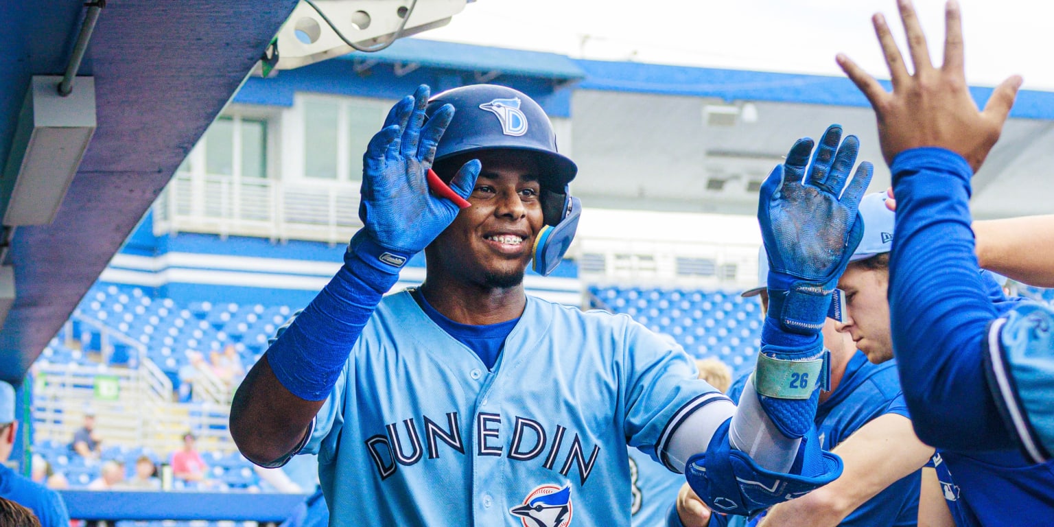 Sanchez hits 2 homers as Blue Jays fall to Tortugas