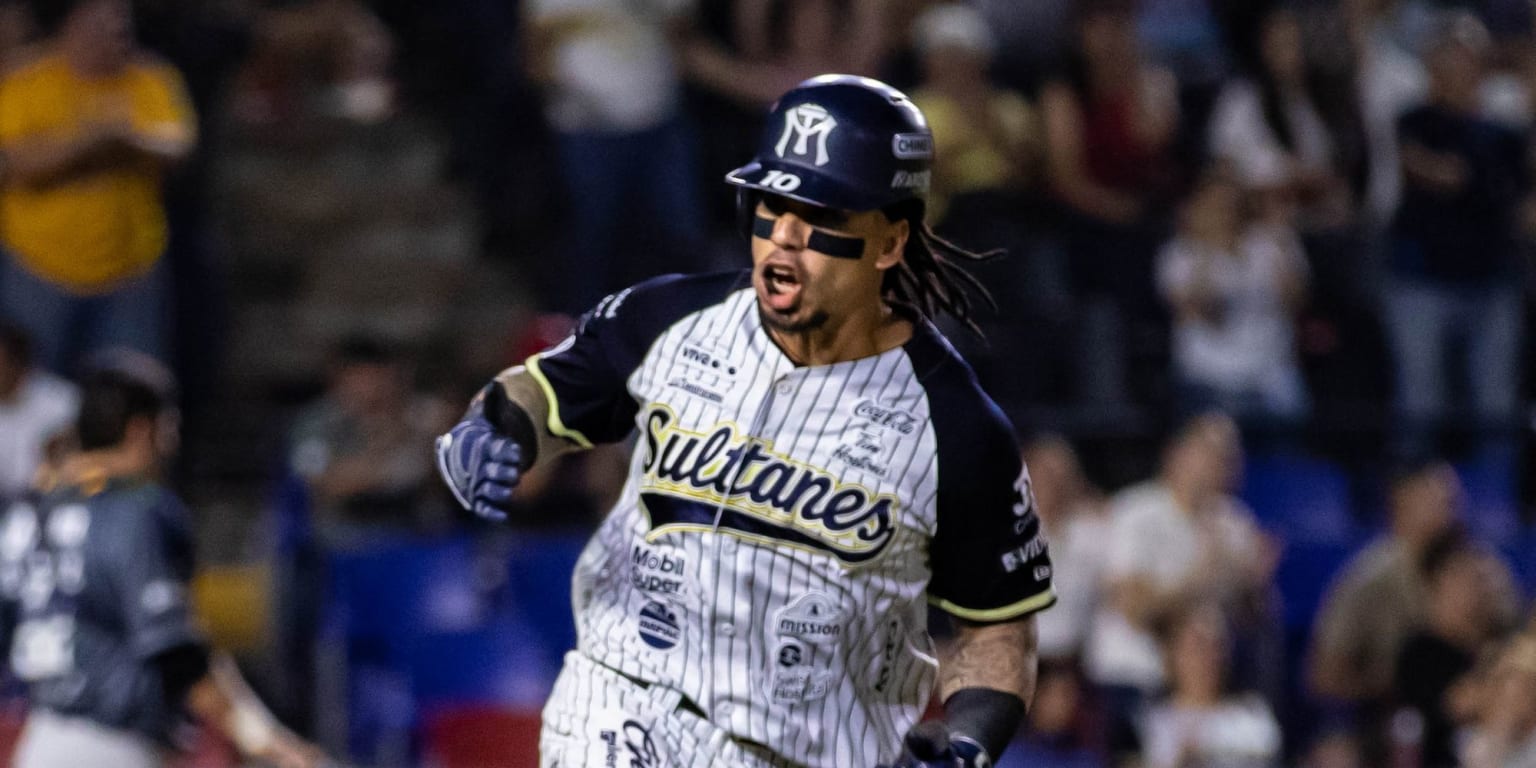 LMB Mexico The Sultanes Monterrey Baseball Jersey Custom Name & Number