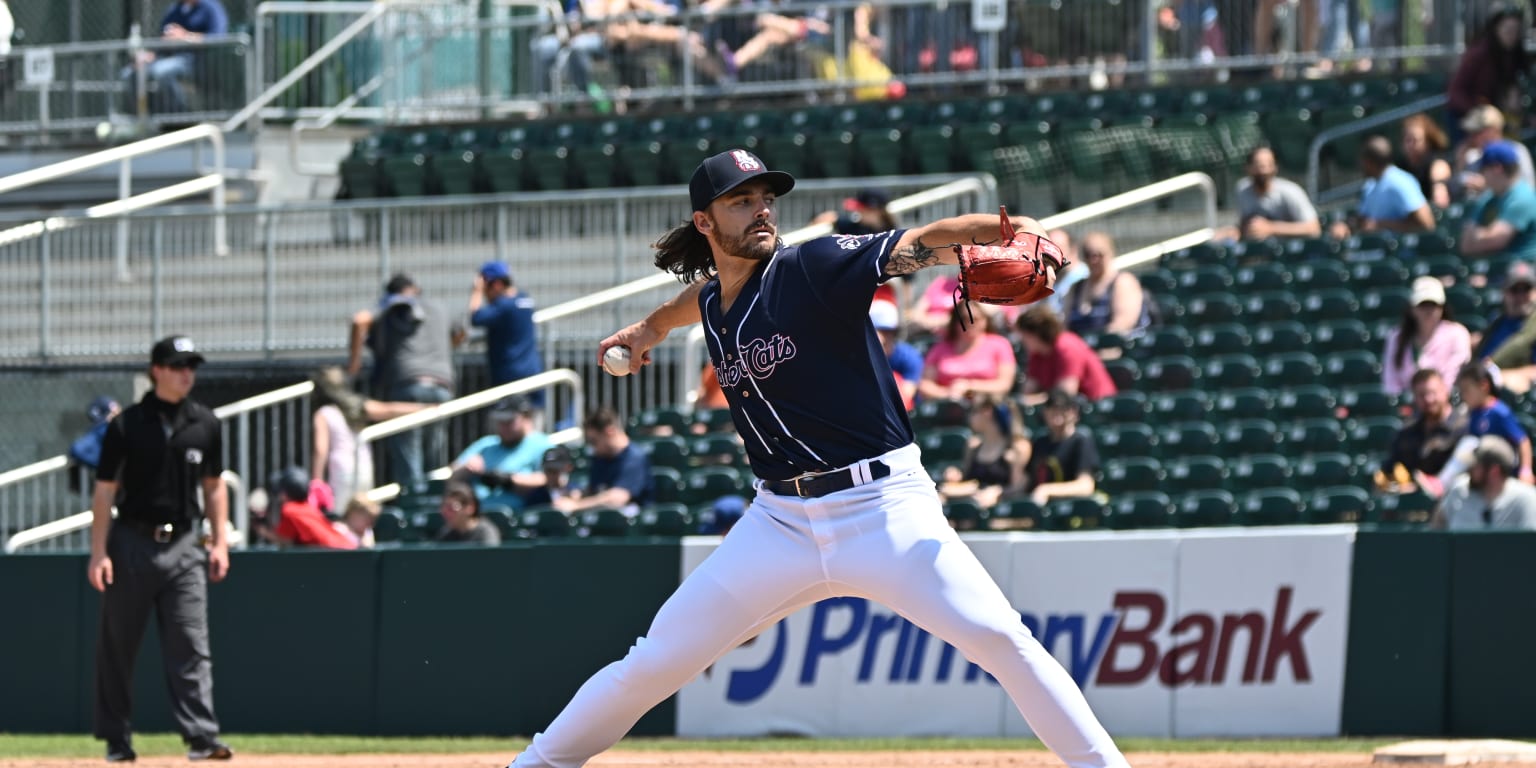 Blue Jays put Hagen Danner on 15-day injured list