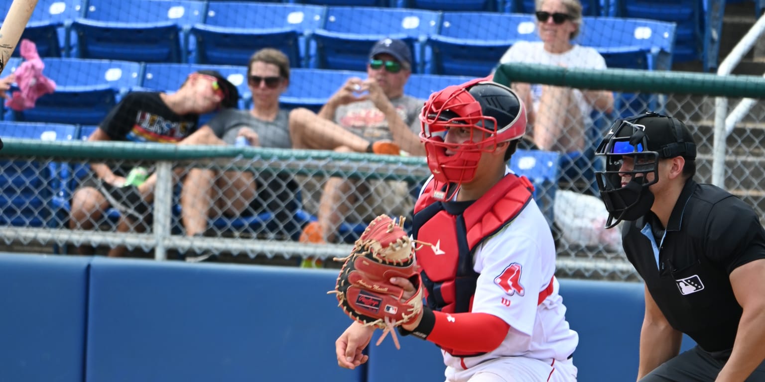 Sox Walk-Off Shorebirds In Series Opener | MiLB.com