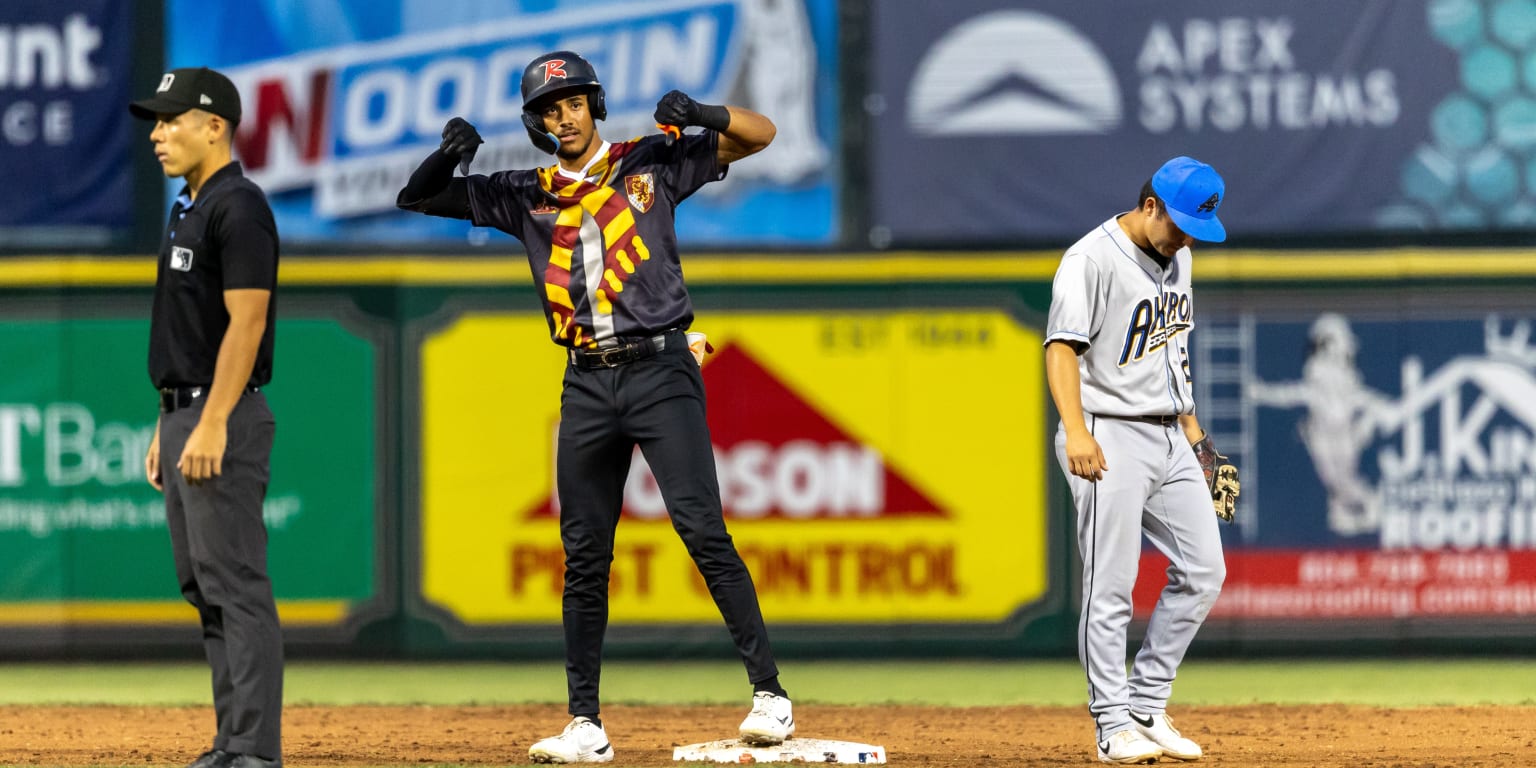 Squirrels storm back for 10-6 win over 'Ducks | MiLB.com