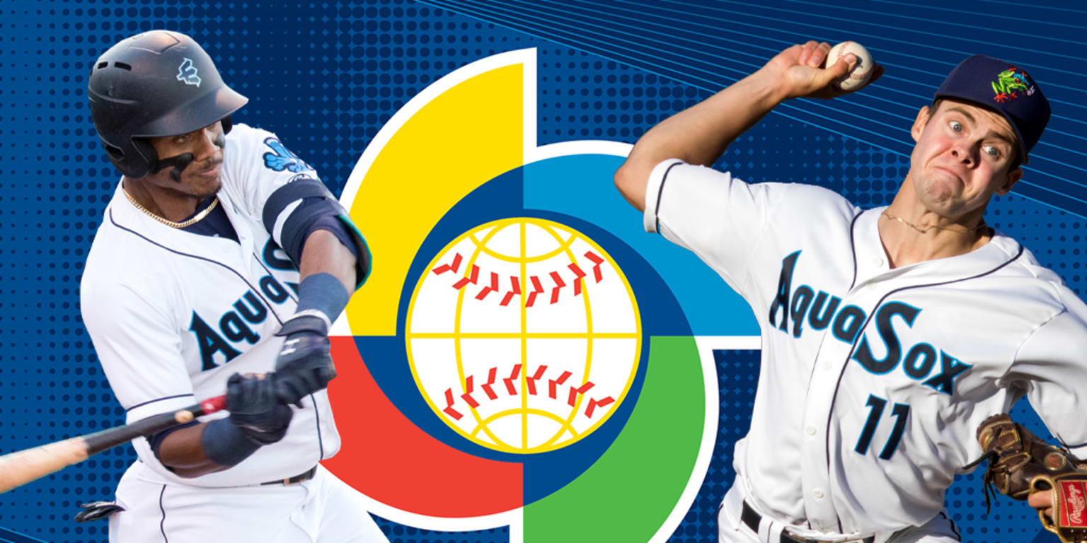 20 Alumni Named To World Baseball Classic Rosters MiLB Com   Sx2vvznlvglehkplhqit 