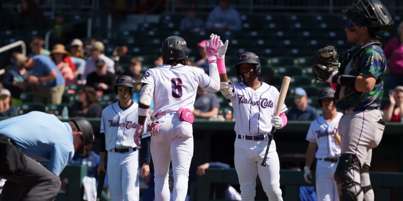 May 11, 2025 | Homers Lift Fisher Cats Over Yard Goats on Mother’s Day ...