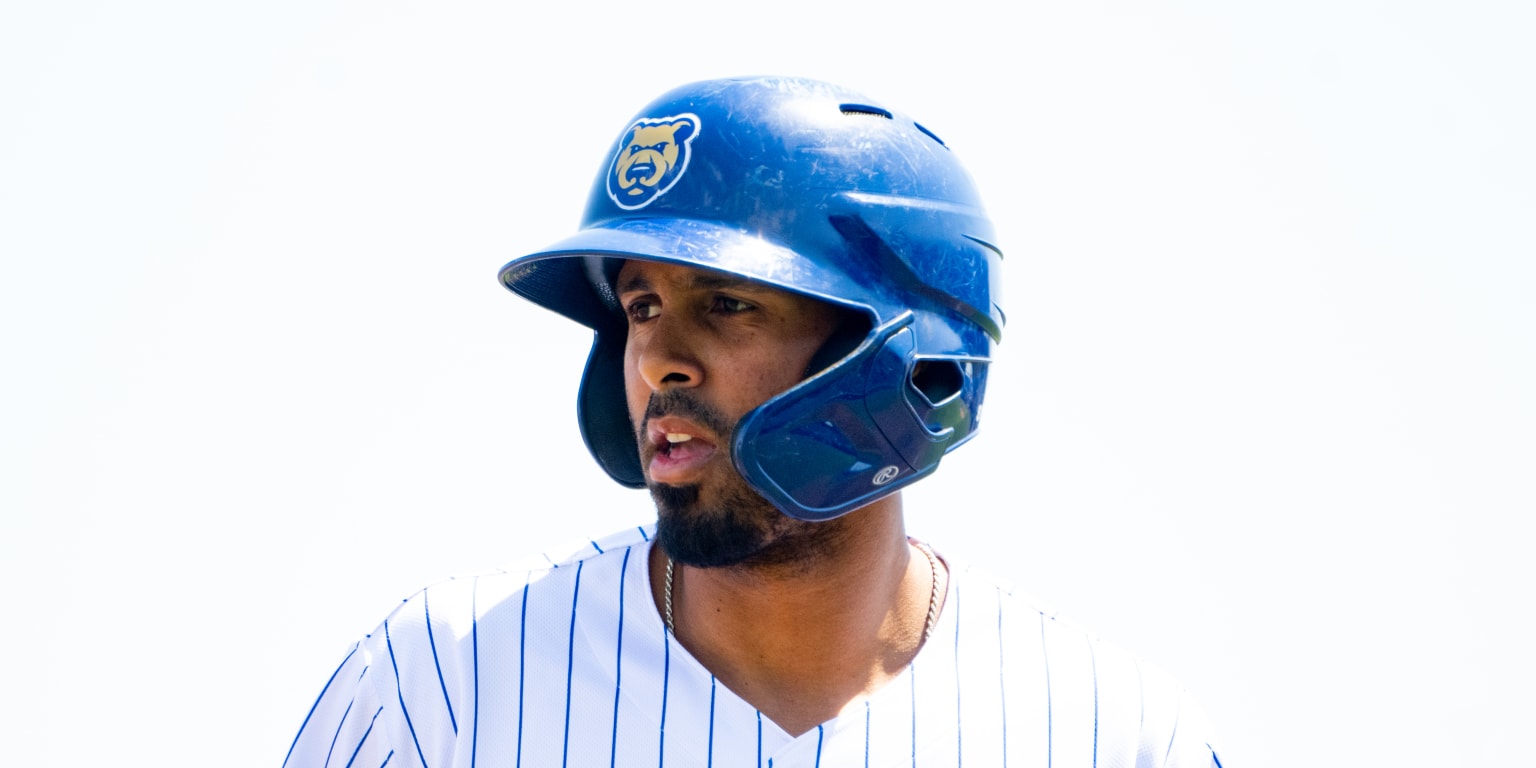Cubs Name Alexander Canario, Luke Little Minor League Player and
