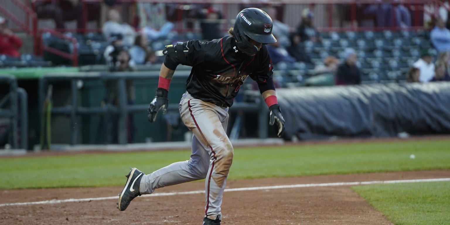 Squirrels late rally fizzles in 8-6 loss against SeaWolves | Flying ...