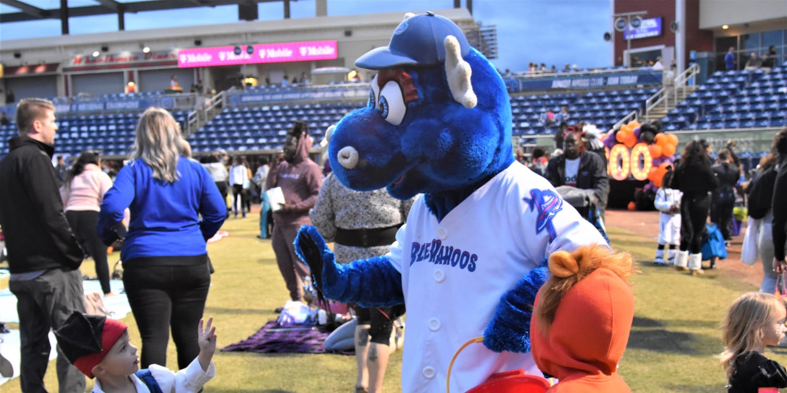 Pensacola Blue Wahoos Kazoo Makes the Team - Children's Book