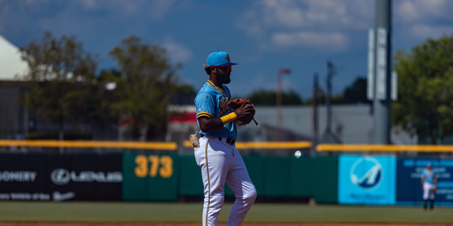 Montgomery Biscuits pitcher Logan Workman