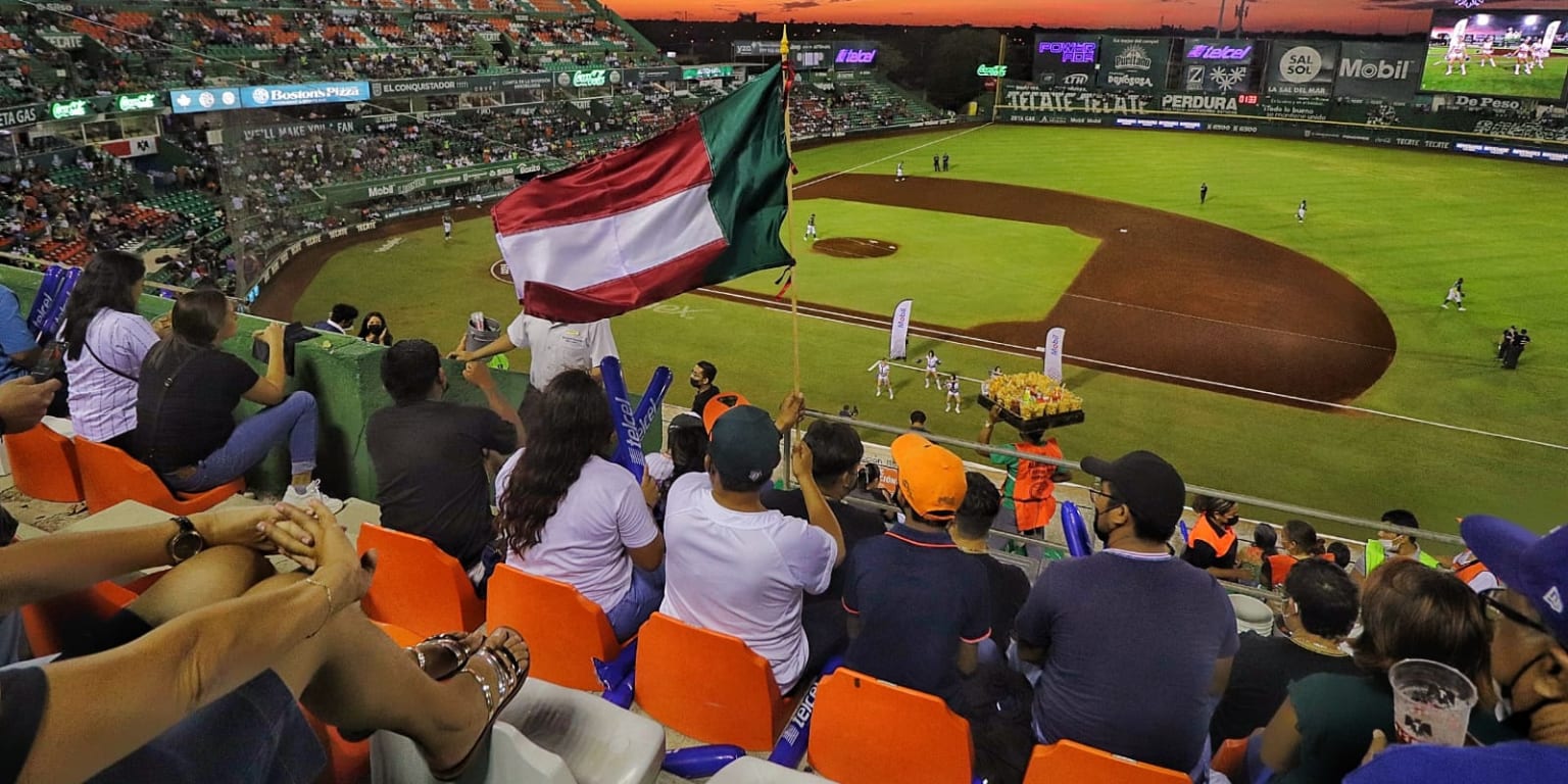 Leones: Jugarán por séptimo año al hilo la Serie de Campeonato | Mexican  League