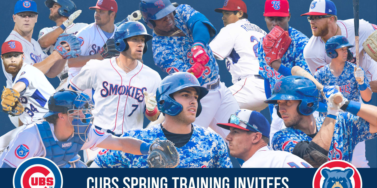 chicago cubs spring training