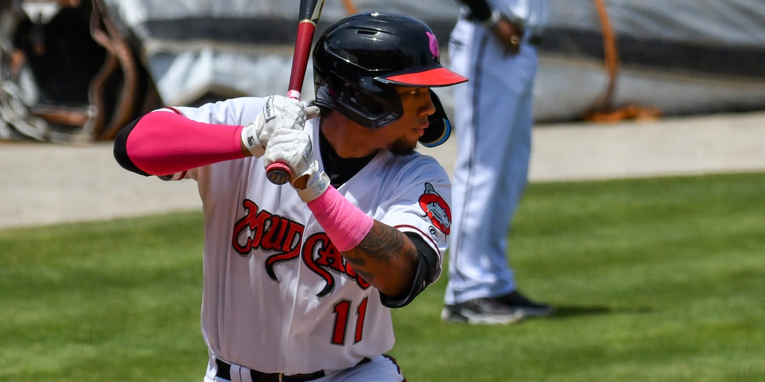 Last Monday we revealed our final - Carolina Mudcats