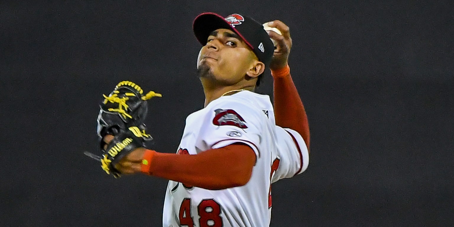 Carolina Mudcats on X: Brewers Weekend hats will be paired with