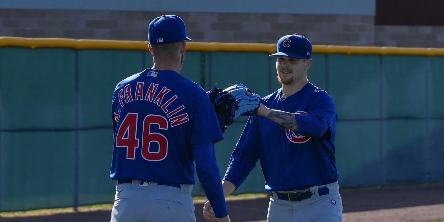 Chicago Cubs Homer Simpson Baseball Jersey 