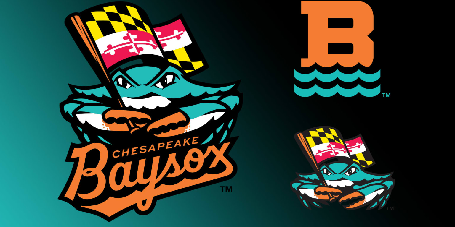 Baltimore Orioles affiliate changes name to Chesapeake Baysox Timber