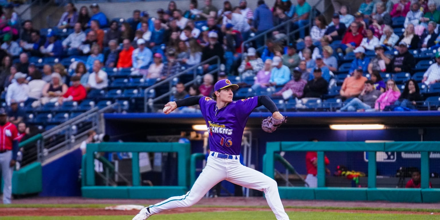 Thunder Chickens Bite FIsher Cats | Yard Goats