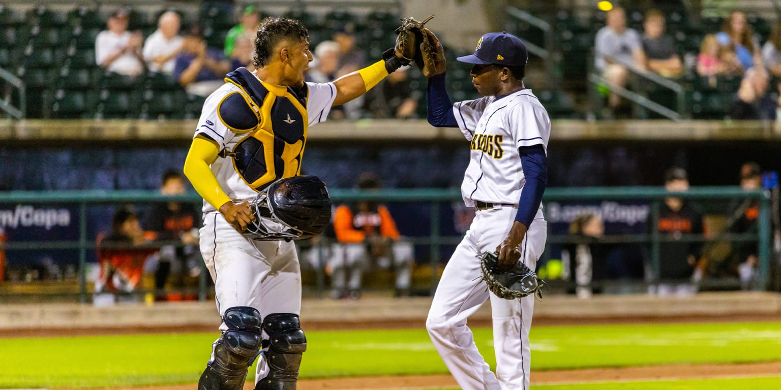 RiverDogs Beat Pelicans 9-7, Secure Trip to Postseason