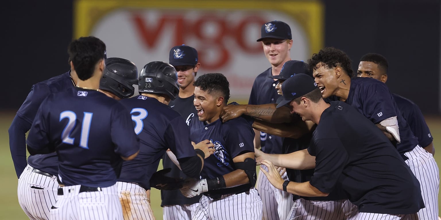 Tampa Tarpons vs. Palm Beach Cardinals, George M. Steinbrenner Field, Tampa,  August 25 2023