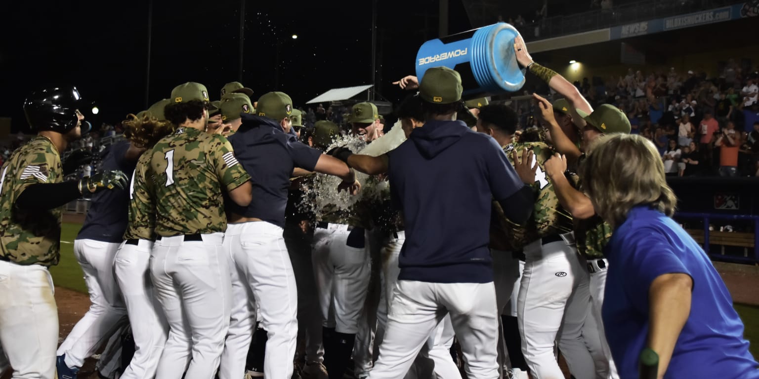 Birmingham Barons: First Homestand Of 2019 This Week