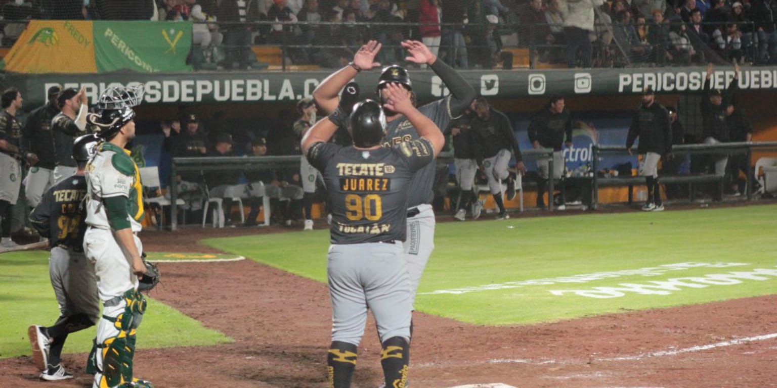 Pericos: Leones se impone en duelo de batazos y se lleva la serie en seis  juegos | Mexican League