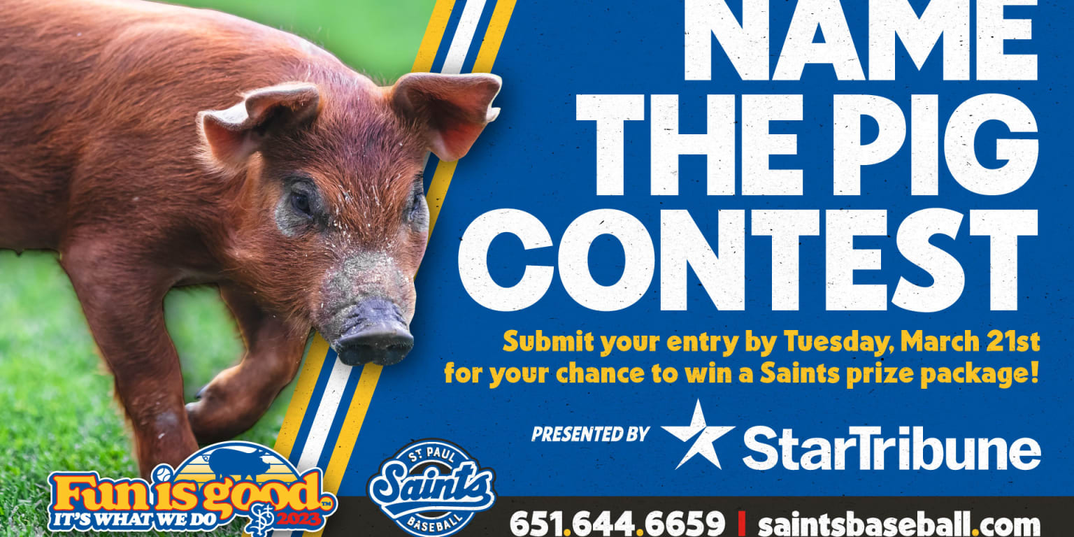 Meet the trainer of the St. Paul Saints' 'ball pig' — and help