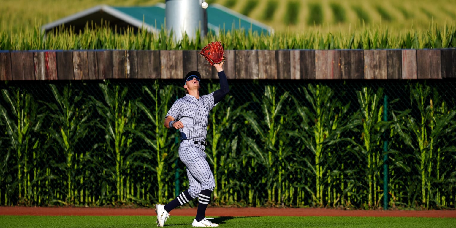 Blue Sox' top 'Bunnies' in Field of Dreams Game