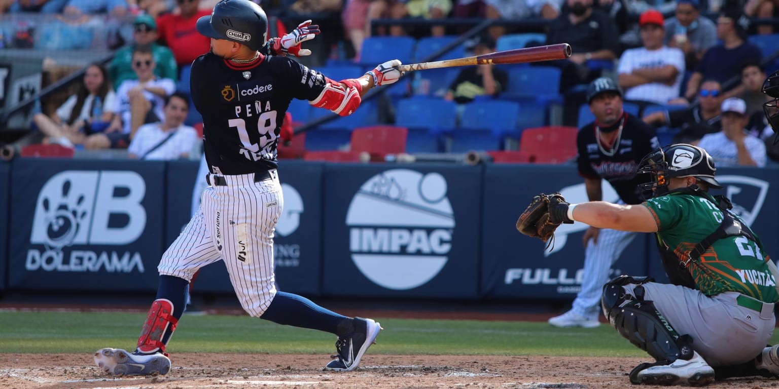 LMB: Conoce la historia entre Leones y Sultanes en Serie del Rey | Mexican  League