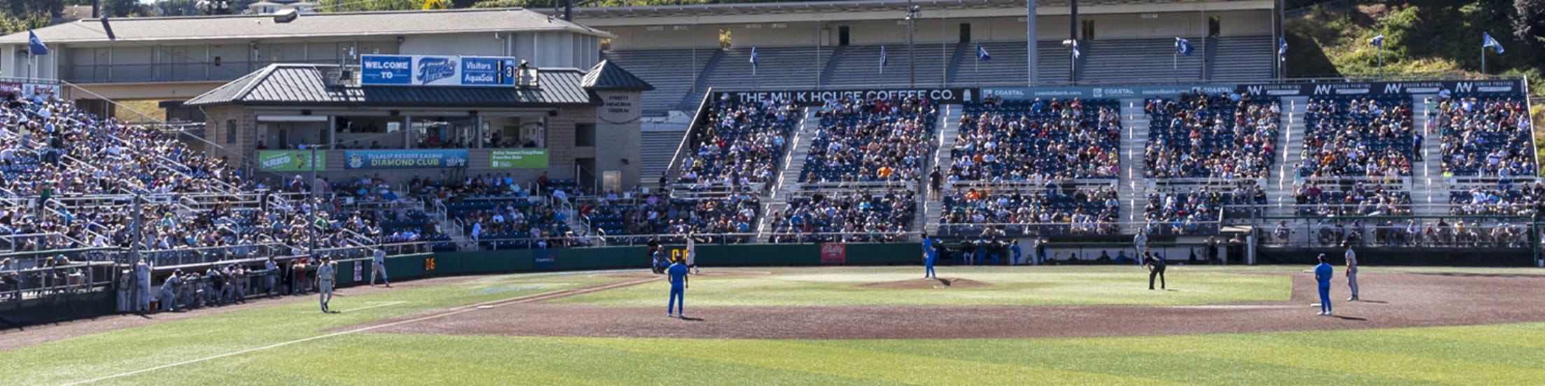 Everett AquaSox Seating Chart AquaSox