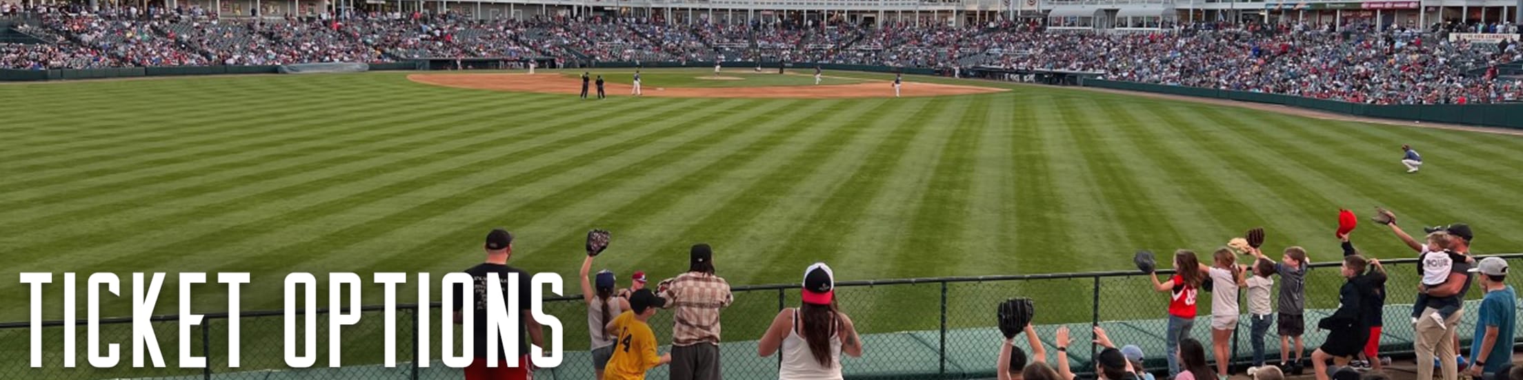 Frisco RoughRiders Ticket Options RoughRiders