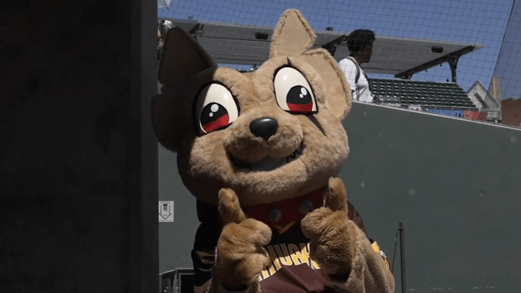 S/o to Chester Cheeto for joining us - El Paso Chihuahuas
