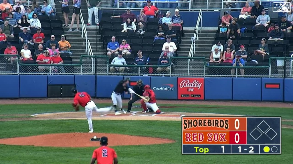 jackson Holliday hitting for them delmarva shorebirds on openning