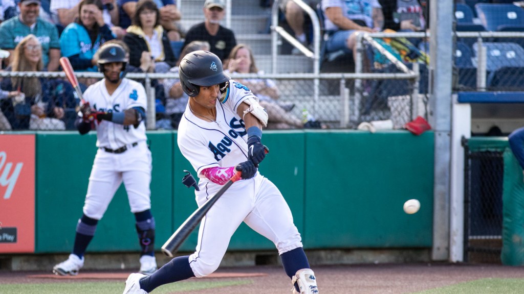 Meet the nuttiest baseball team the Northwest has ever seen