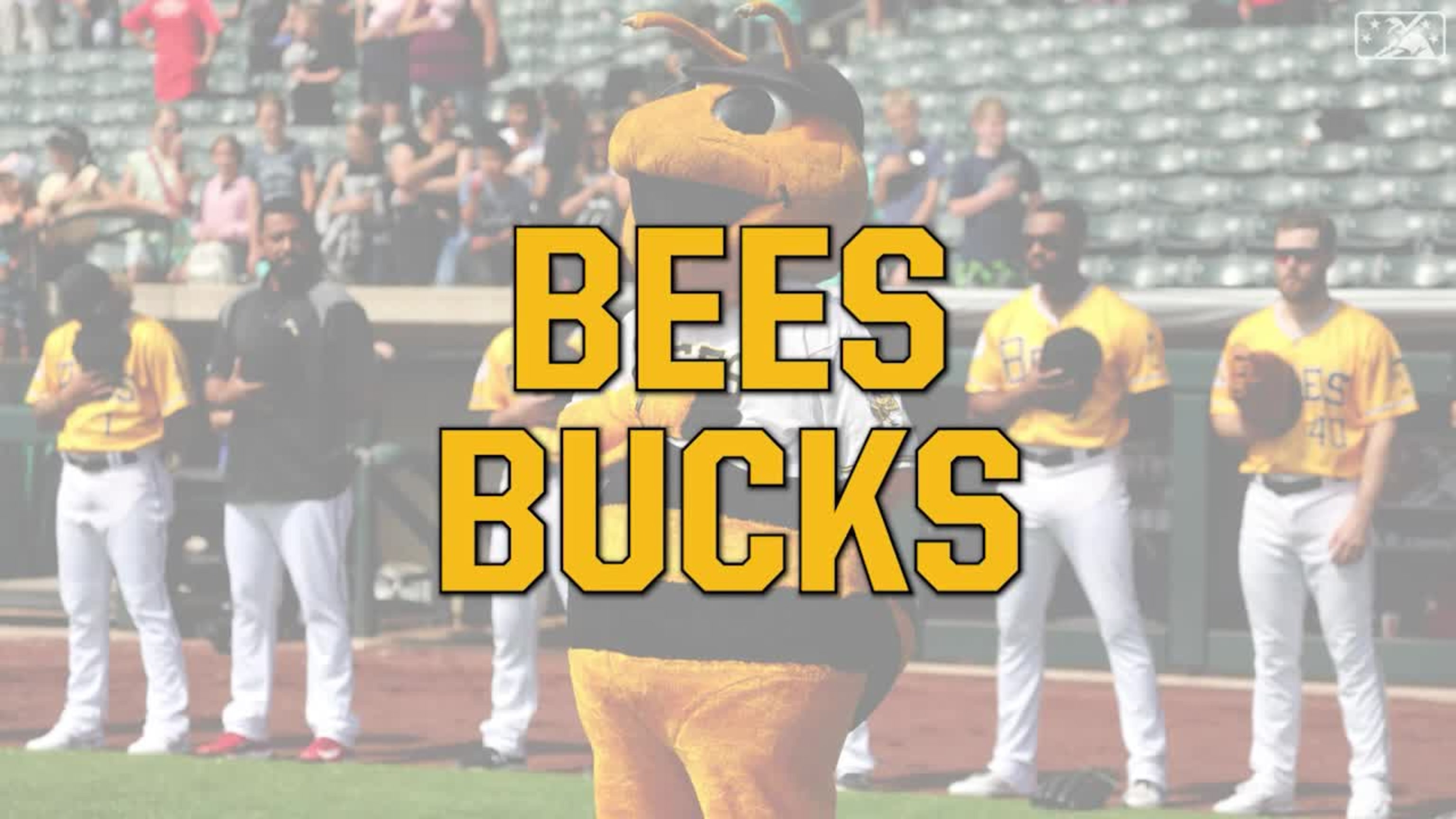 Bees Bucks Tutorial, 06/06/2023