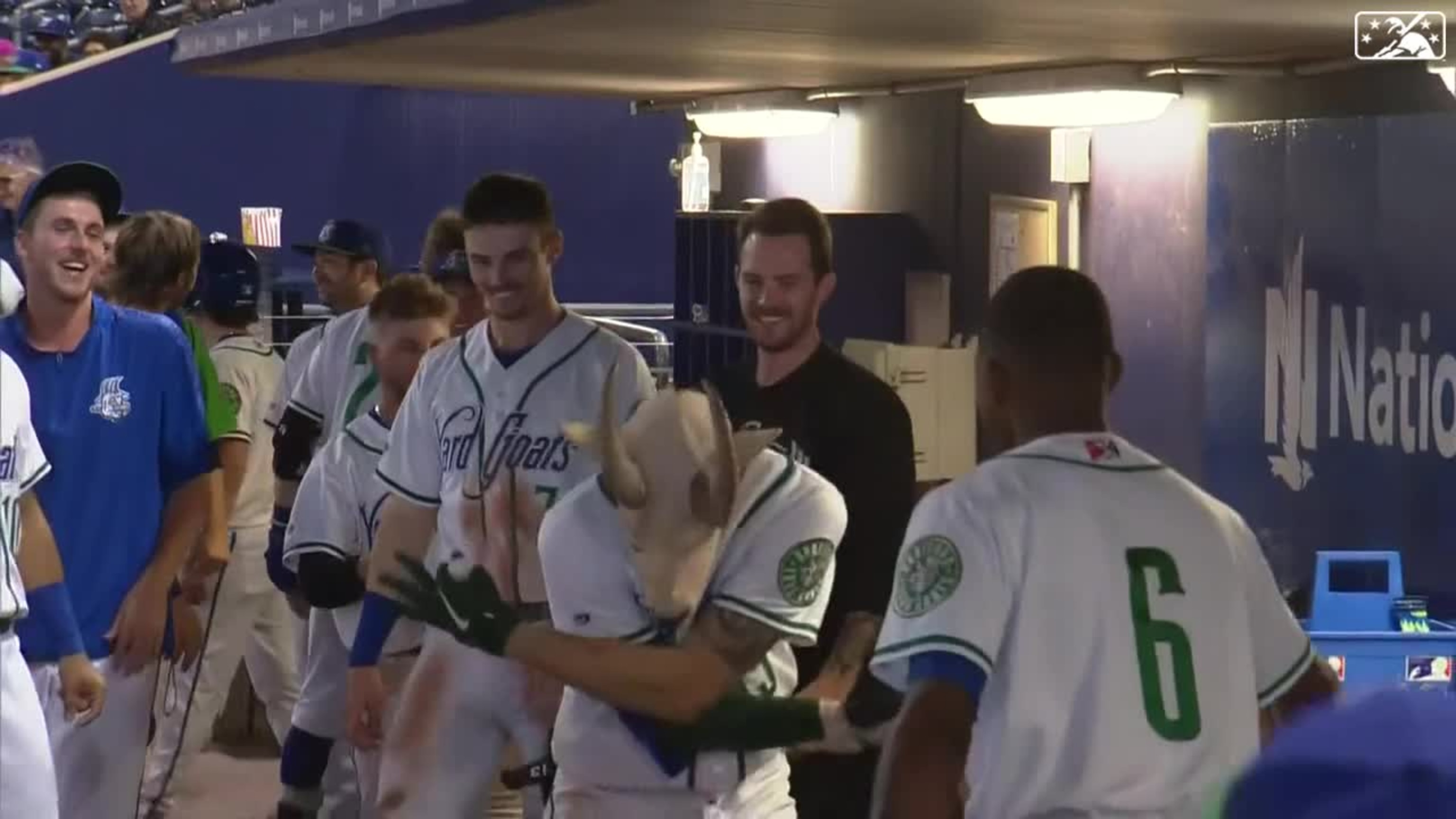 Yard Goats reveal new uniforms