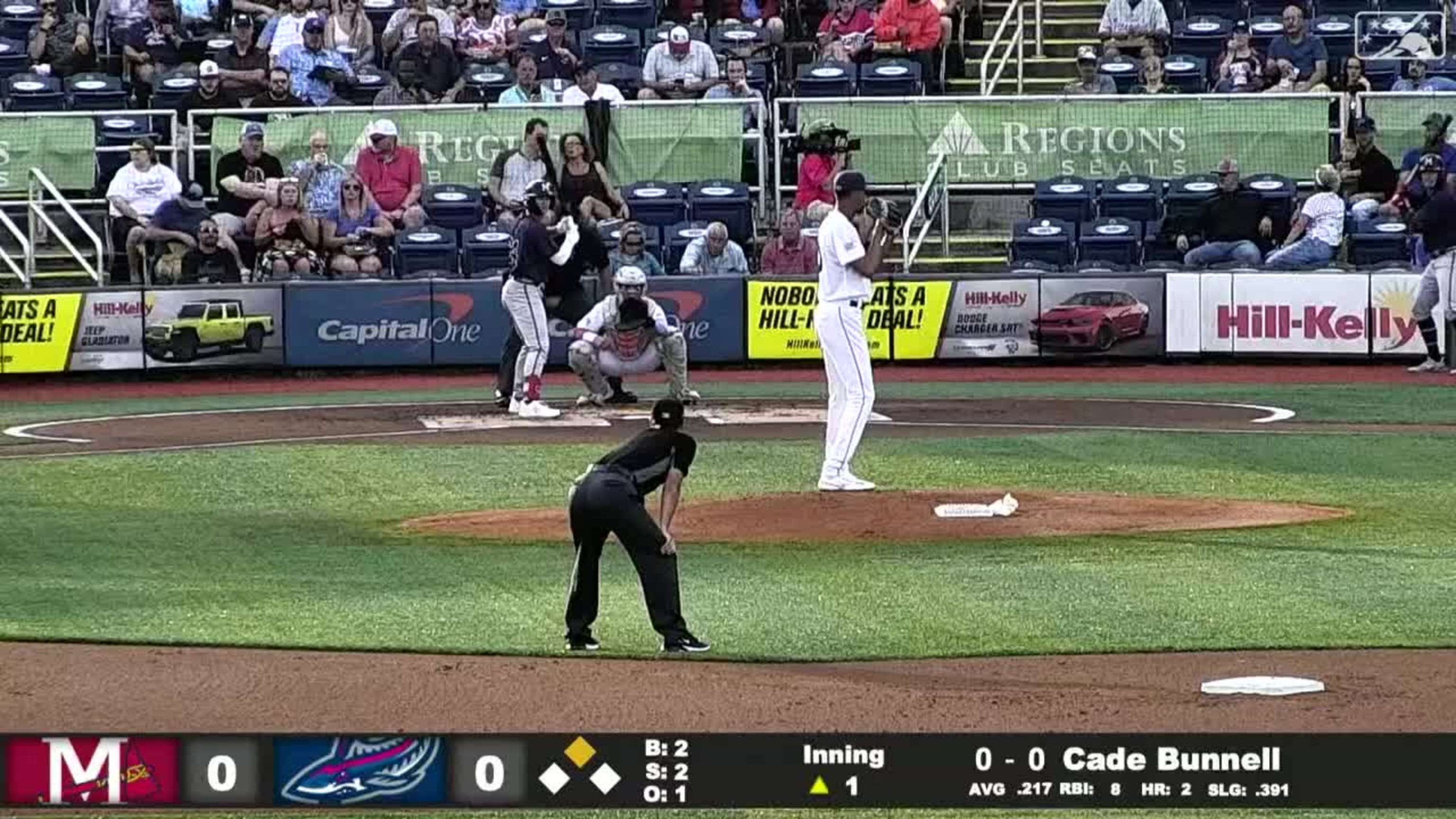 Looking over the brand new MLB - Pensacola Blue Wahoos