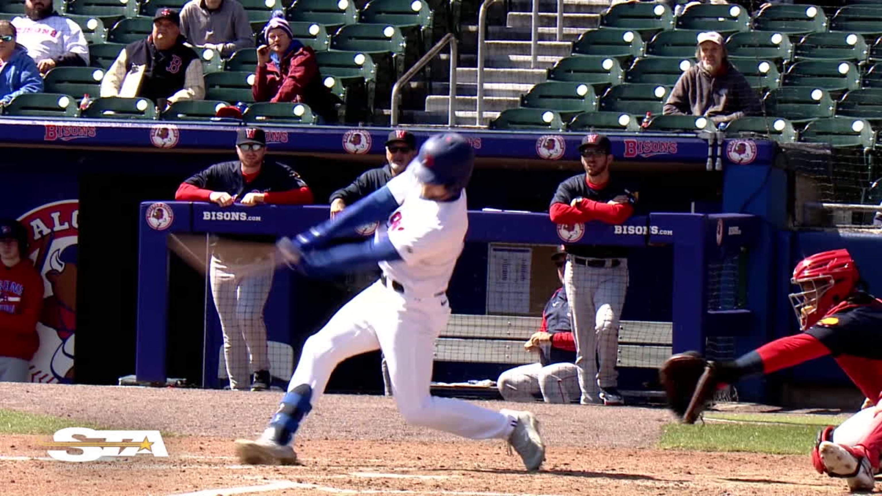 Buffalo Bisons Baseball