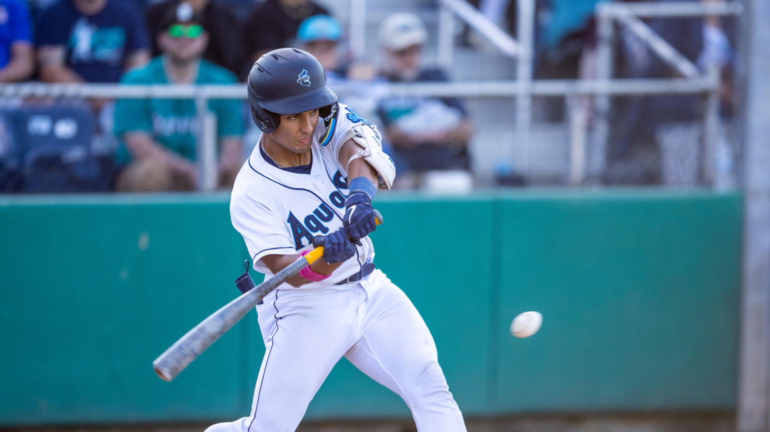 Harry Ford's career high | 06/29/2023 | MLBDraftLeague.com