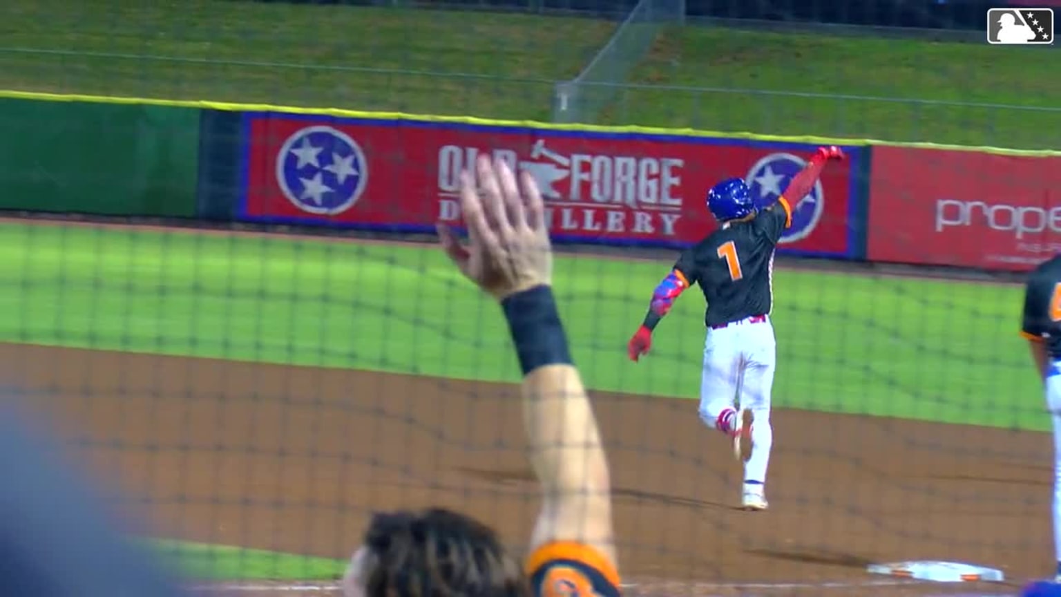 Pablo Aliendo's go-ahead solo homer | 08/25/2024 | Smokies
