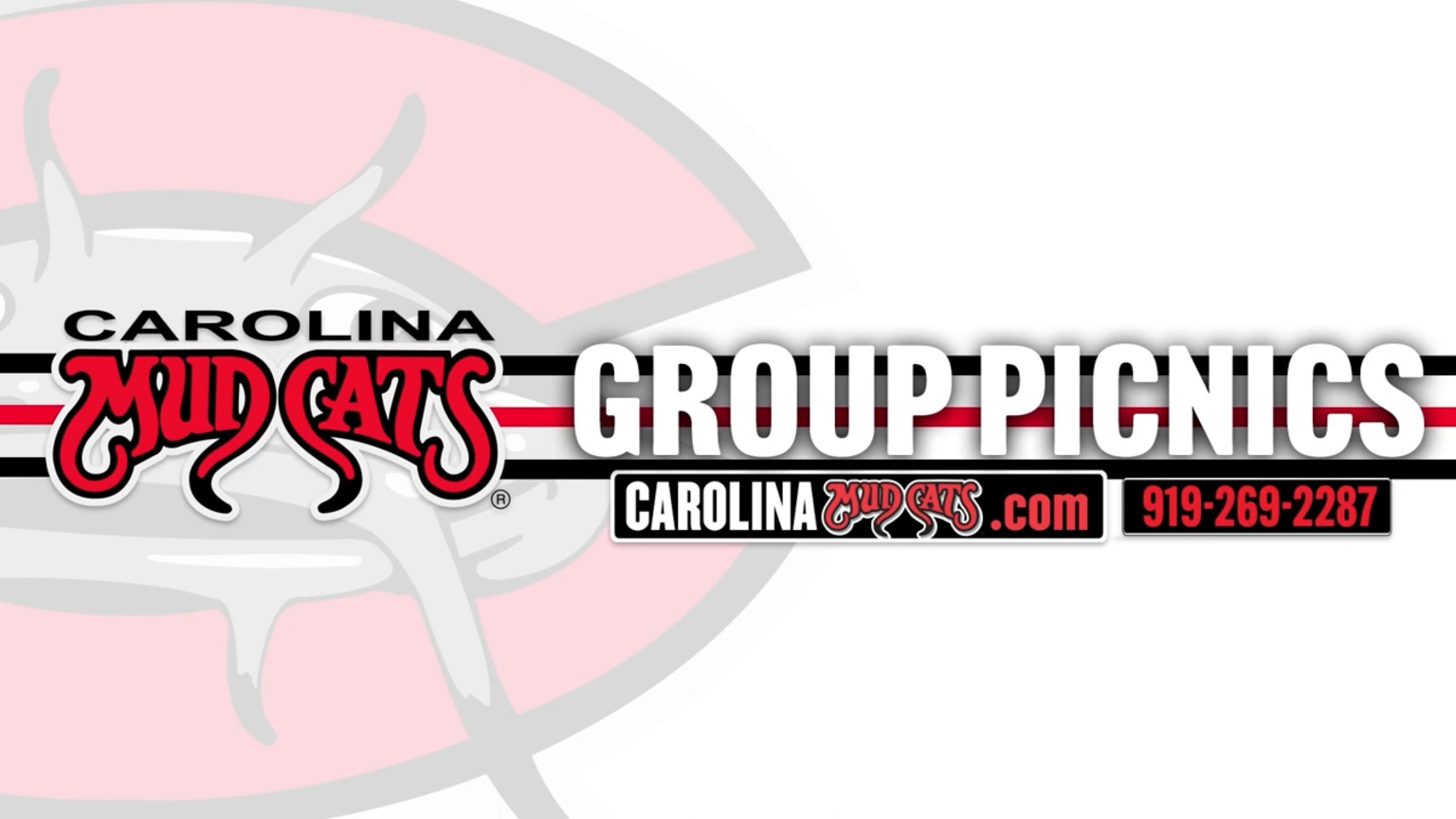 Mudcats Picnic Video | 03/20/2025 | MiLB.com